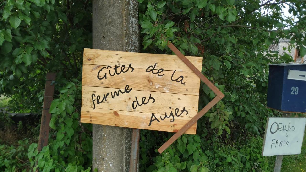 Gite Familial Ferme Des Aujes Falaen Onhaye Esterno foto
